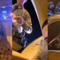 VIDEO: French Montana in Bugatti staande gehouden door politie